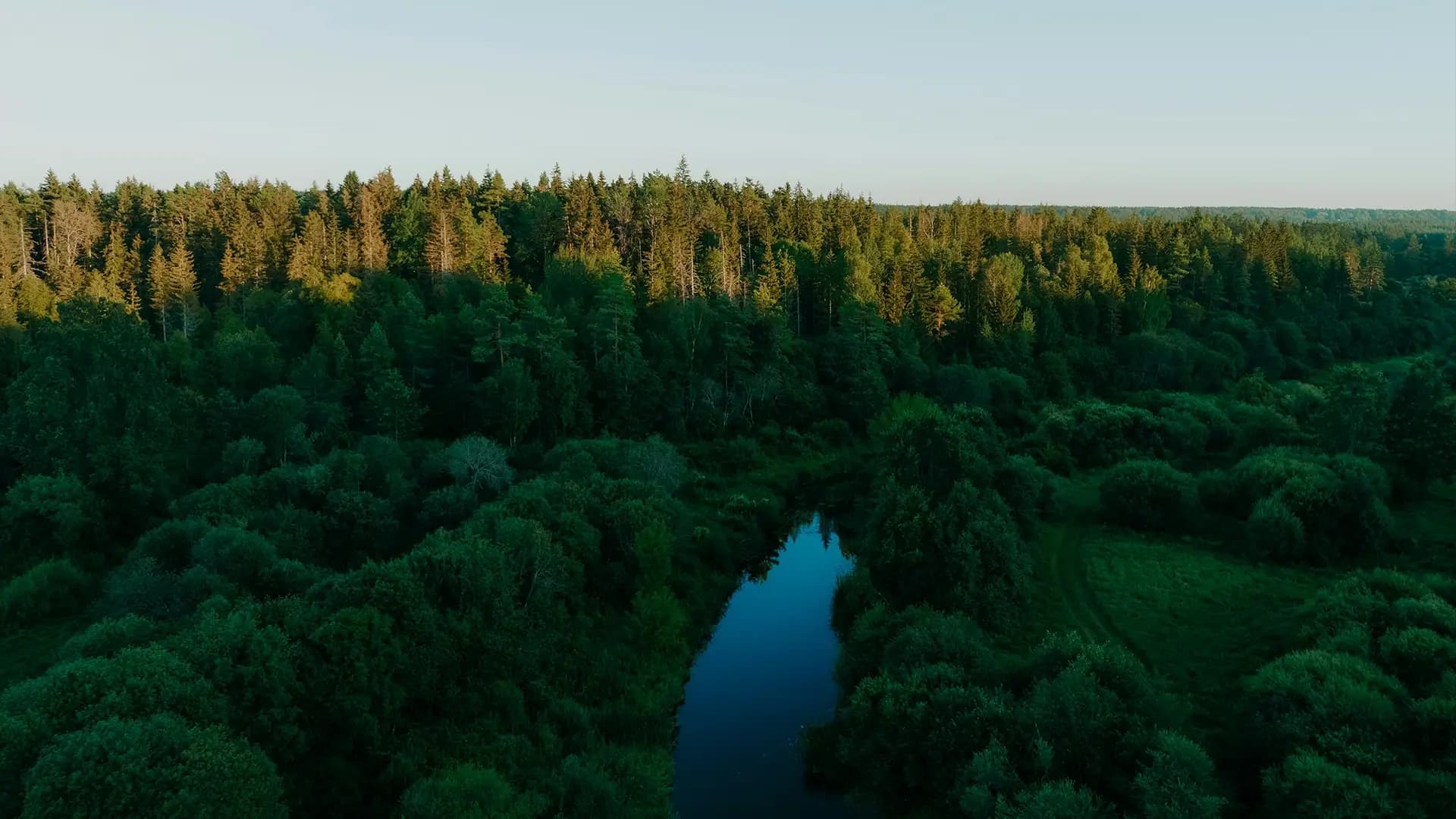 Vastuullisuuden edelläkävijä